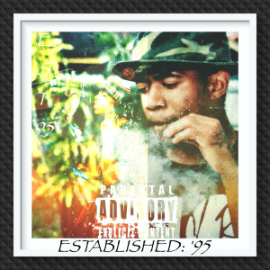 Album Established: '95 (Explicit) from 