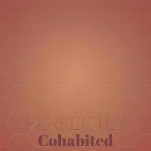 Various Artists的专辑Perfectly Cohabited