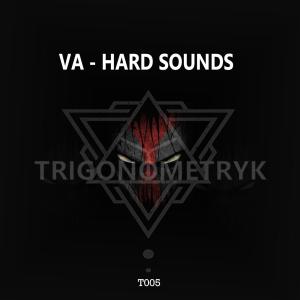 Varius Artist的專輯VA HARD SOUNDS