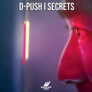 Listen to Secrets song with lyrics from D-Push