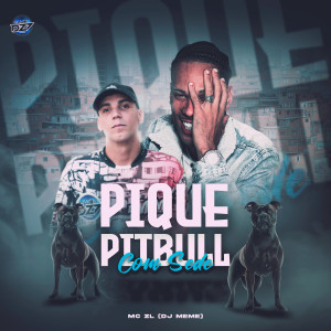 Album PIQUE PITBULL COM SEDE (Explicit) from MC ZL
