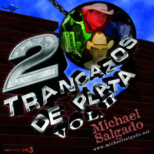 ดาวน์โหลดและฟังเพลง Amor de Siempre พร้อมเนื้อเพลงจาก Michael Salgado
