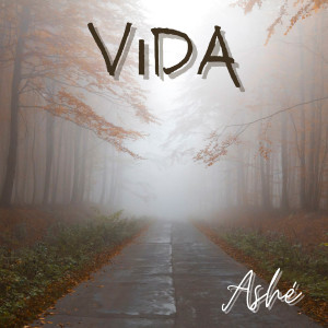 收聽Ashe的Vida歌詞歌曲