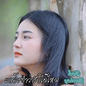 Listen to แกล้งทำว่ารักได้ไหม song with lyrics from ใบบัว บุปผาชน
