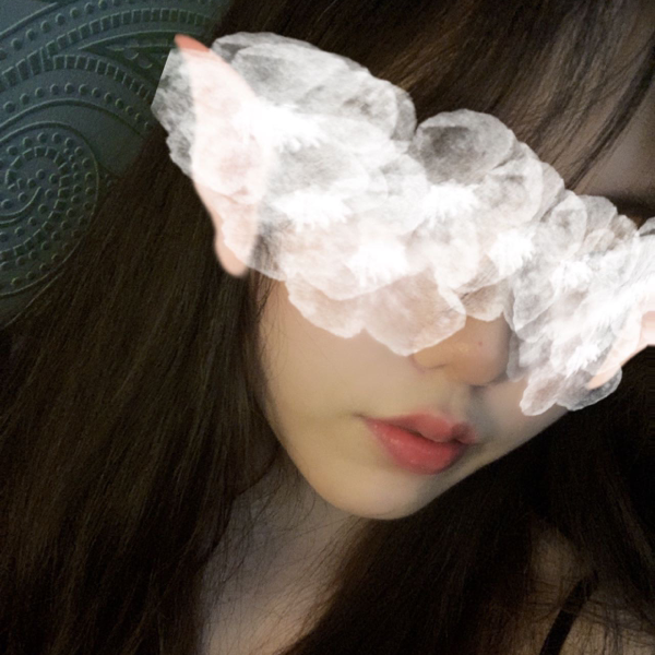 鸿鹄