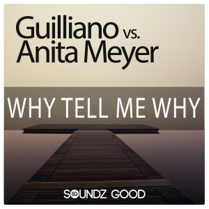 อัลบัม Why Tell Me Why (Guilliano vs. Anita Meyer) ศิลปิน Anita Meyer