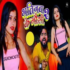 Album Bhatijawa Ke Mausi 2 from Rohit Raj Mahi
