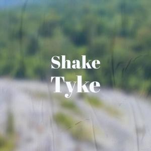 Dengarkan lagu Optimal Confederate nyanyian Dezzie dengan lirik