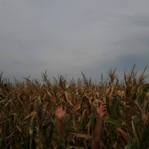 ดาวน์โหลดและฟังเพลง Нет чувств พร้อมเนื้อเพลงจาก The 4th