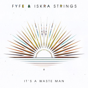 Album It's A Waste Man from Fyfe