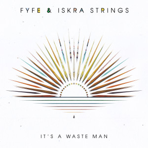 Album It's A Waste Man from Fyfe