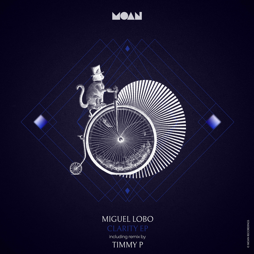 Clarity (Timmy P Remix)