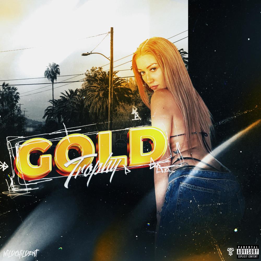 Lessons (feat. GMTheProducer) (Explicit)