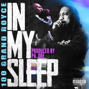 100grandroyce的專輯In my sleep (feat. 100grandroyce) [Explicit]