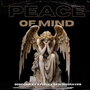 收聽FHNX的PEACE OF MIND歌詞歌曲