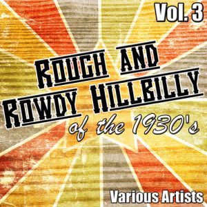 Various Artists的專輯Rough and Rowdy Hillbilly of the 1930's Vol. 3