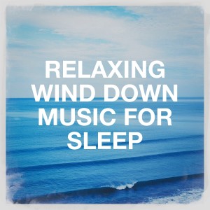 Piano Relaxation Music Masters的專輯Relaxing Wind Down Music for Sleep