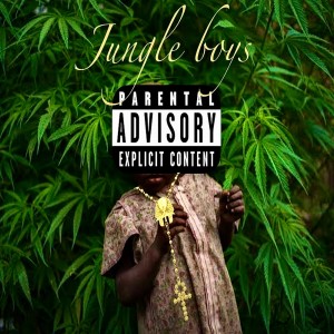 Listen to Jungle Boys (Explicit) song with lyrics from Rey