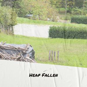 Album Heap Fallen from Various