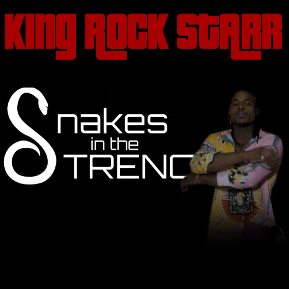 Snakes In The Trenches (Explicit)