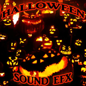 ดาวน์โหลดและฟังเพลง Horror Tales พร้อมเนื้อเพลงจาก Scary Sounds DJ's