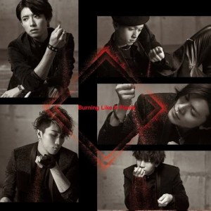 ดาวน์โหลดและฟังเพลง Burning Like A Flame พร้อมเนื้อเพลงจาก Ryoga
