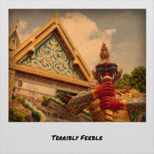 Album Terribly Feeble from Various