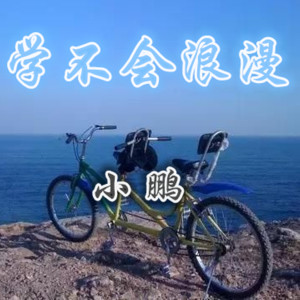 Album 学不会浪漫 from 小鹏