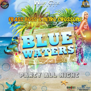 ดาวน์โหลดและฟังเพลง Party All Night พร้อมเนื้อเพลงจาก Frass Boss