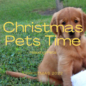 Music for Kittens的專輯A Christmas Pets Time
