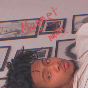 Album Magnet Havoc (Explicit) from phai