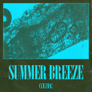 อัลบัม Summer Breeze ศิลปิน Coldiac