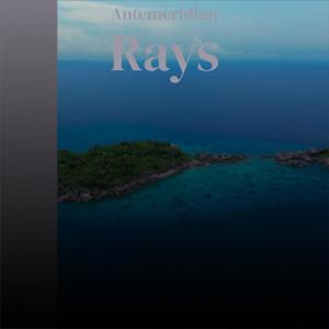 Album Antemeridian Rays from Various