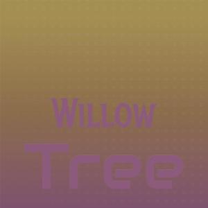 Silvia Natiello-Spiller的專輯Willow Tree