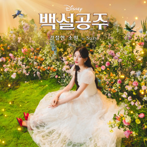 อัลบัม 간절한 소원 ศิลปิน Suzy
