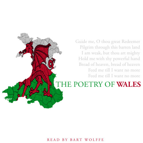 The Castles of Wales by Daniel Evans