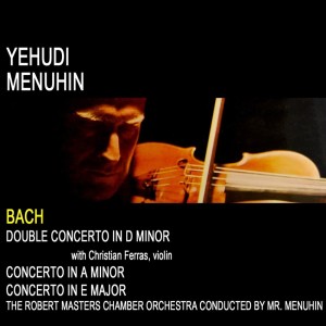 Chamber Orchestra的專輯Violin Concertos