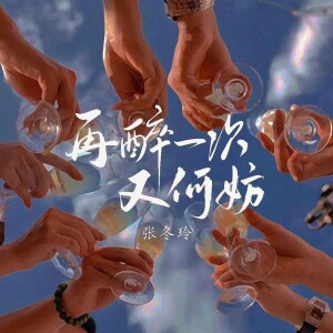 Album 再醉一次又何妨 (DJ伟然版) from 张冬玲