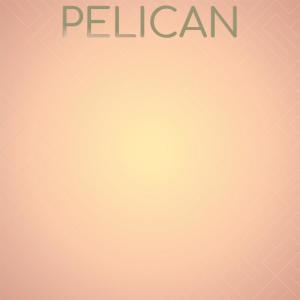 Album Pelican from Various