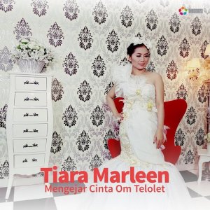收聽Tiara Marleen的Mengejar Cinta Om Telolet歌詞歌曲