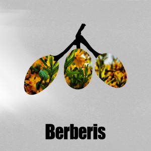 收聽Dario Suerte的Obscure Thoughts (Original Mix)歌詞歌曲