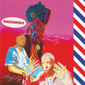 Album Ngomso from Stiff Pap