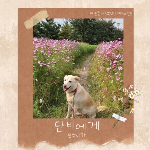 อัลบัม 단비에게 ศิลปิน 유타민