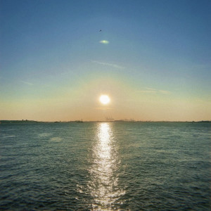 Reflections dari Buttercup