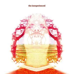 收聽The Inexperienced的I Can't Stop This Love歌詞歌曲