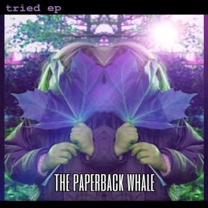 收聽The Paperback Whale的Tried歌詞歌曲