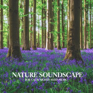 收聽Nature Sounds For Focus的Serene Work Ambience (Gentle Stream Sounds)歌詞歌曲