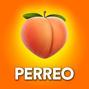 Album Perroe from Mega Perreo Brasileño