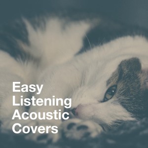 Album Easy Listening Acoustic Covers from It's a Cover Up
