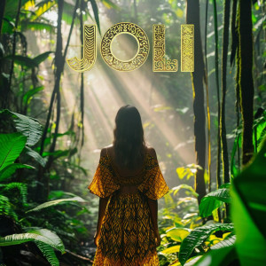 收聽Sean RII的Joli歌詞歌曲